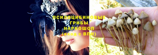 ГАЛЛЮЦИНОГЕННЫЕ ГРИБЫ Одинцово