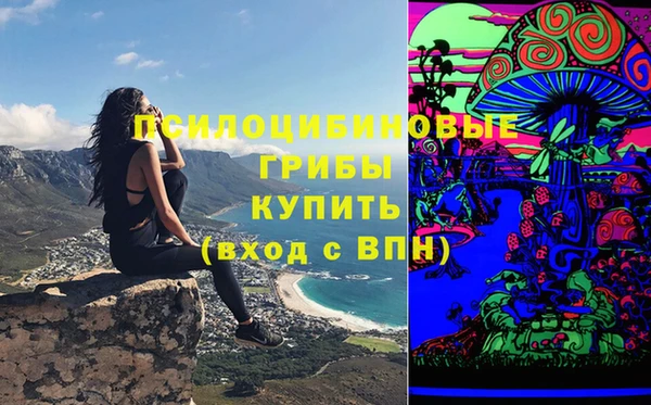 прущая мука Новодвинск