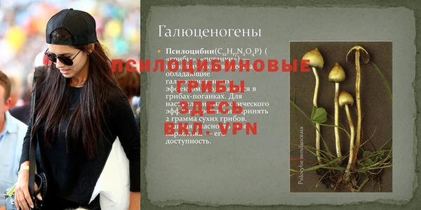 спиды Иноземцево