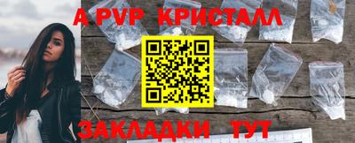 2c-b Кингисепп
