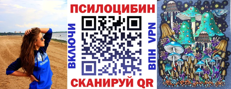 shop Telegram где можно купить Рузаевка Псилоцибиновые грибы Psilocybine cubensis